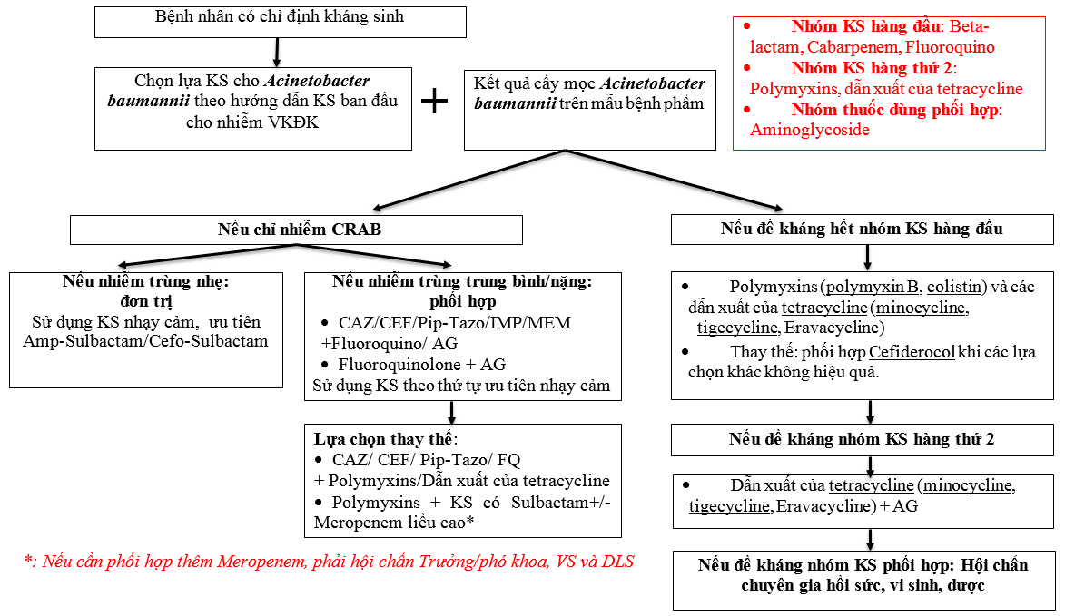 Phương Pháp Phòng Ngừa Viêm Đường Tiết Niệu